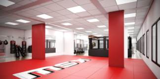 KSW CROSS FIGHT GYM w natarciu